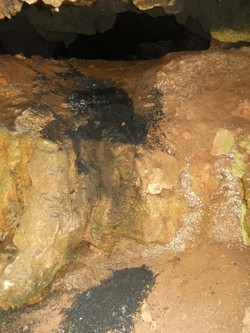 Cerita Mistis Seputar Harimau Gondol Mayat di Gunungkidul