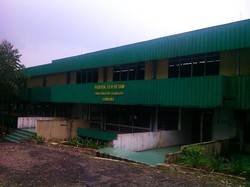 Begini Siasat Membangkitkan Kejayaan Teh Indonesia