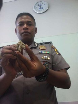 Cerita Bripka Safrizal Temukan Batu Mani Gajah Berharga Miliaran Setelah 2 Kali Mimpi