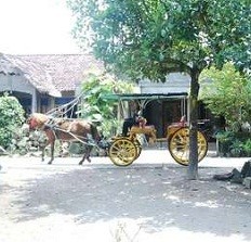 Dokter Hewan: Kuda Bunting Perlu Nutrisi dan Istirahat yang Cukup