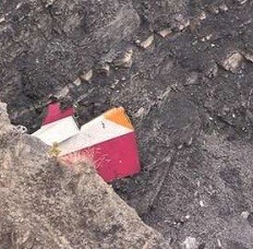 Lufthansa Siapkan 2 Penerbangan Bagi Keluarga Korban ke Lokasi Kecelakaan Germanwings