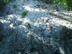 Unik! Batu Hijau Raksasa di Air Terjun Plosoan, Banyuwangi