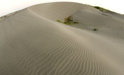 Ini Dia Gurun Sahara di Yogyakarta