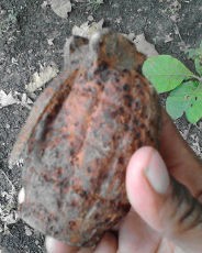 Dikira Batu Akik, Bocah SD Malah Temukan Granat