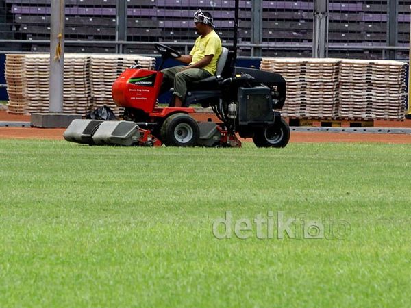 Begini Kondisi Rumput GBK Usai Konser One Direction