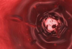 Tes DNA Paling Bagus Pakai Darah, Cuma Butuh 24 Jam untuk Tahu Hasilnya