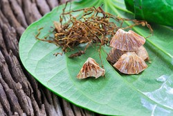 Berisiko Kanker Mulut, Taiwan Imbau Warganya Berhenti Menginang