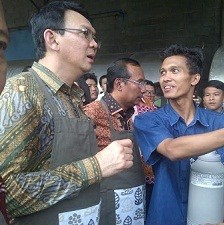 Ahok Dorong Swasembada untuk Kontrol Harga Daging Sapi saat Lebaran