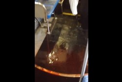 Ada Hujan Darah di Bus, Traveler Heboh Minta Turun