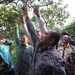 Cicipi Manisnya Jeruk Selorejo, Menteri Marwan: Masak Masih Mau Impor?