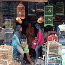Pasar Burung ini Semrawut Tapi Jadi Favorit