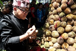 Festival Buah di Banyuwangi Diwarnai Aksi Berebut Tumpeng Durian