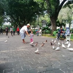 Di Jakarta Jangan Cuma Main ke Mal, Coba Nikmati Rindangnya Pohon di Taman Kota