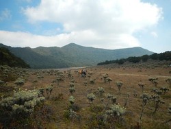 Weekend, Ayo Daki Gunung Gede Lewat Gunung Putri