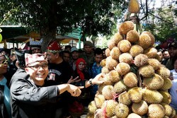 Rebutan Tumpeng Durian di Festival Buah Banyuwangi, Seru!