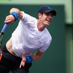 Awal Mulus untuk Murray