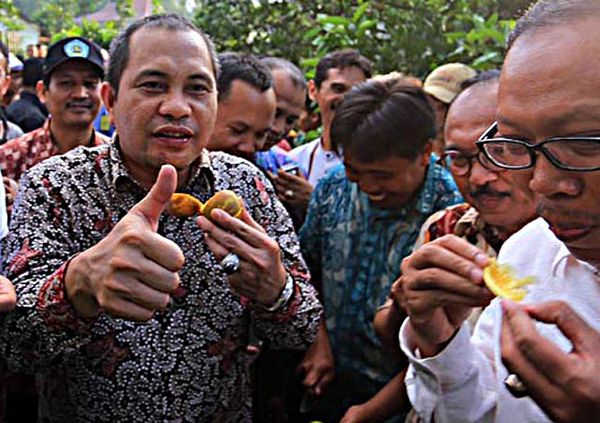 Mendes Marwan Jafar Petik Jeruk Hasil Pertanian