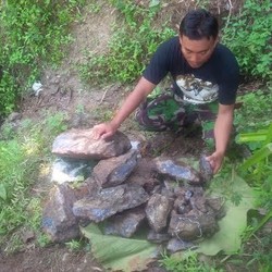 Cerita Ular Naga di Gunung Bapang yang Tak Dianggap Pemburu Akik Lavender