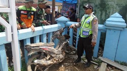 Motor Ditemukan di Kedalaman 5 Meter, Diduga Masih Ada Korban yang Terkubur