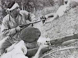 Pembatasan Film Impor Bukan Solusi, Filmmaker Dituntut Perbaiki Kualitas Film Nasional