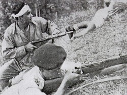 Kuantitas Film Nasional Bertambah, Jumlah Penonton Cenderung Turun