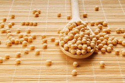 Rutin Konsumsi Tauge dan Kedelai Dapat Seimbangkan Produksi Hormon Alami (2)