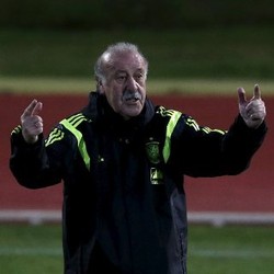 Lawan Belanda, Tidak Ada Misi Pembalasan dari Del Bosque