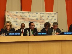 Di Forum PBB, Indonesia Pertegas Komitmen Perbanyak Green Jobs