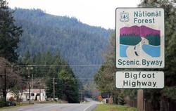 Misteri Monster Bigfoot di Amerika