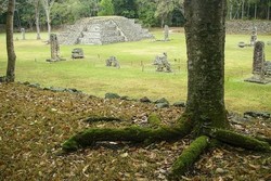 Peradaban Suku Maya yang Hilang di Honduras