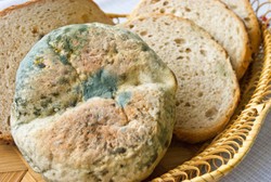 Bagian Makanan yang Berjamur Sudah Dibuang, Masih Amankah Dikonsumsi?