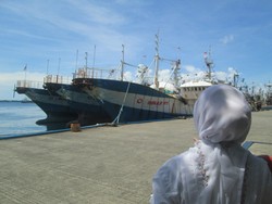 Misi Menyelamatkan Surga Ikan di Ujung Timur Indonesia