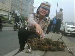 Polisi dan Komunitas Saber Amankan 13 Kg Paku Ranjau di Jakarta Barat