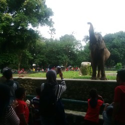 Serunya Ajari Anak Tentang Kehidupan Satwa Sambil Liburan