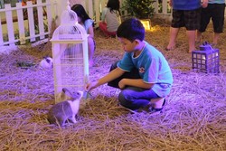 Libur Paskah, Main Bareng Kelinci Lucu di Trans Studio Makassar
