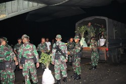 Tim Ekspedisi NKRI Terbangkan Ribuan Bibit Pohon ke Nusa Tenggara