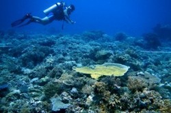 Asyik! Pelni Rencanakan Paket Wisata Ke Takabonerate