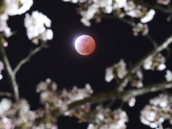 Gerhana Bulan Total di Berbagai Negara