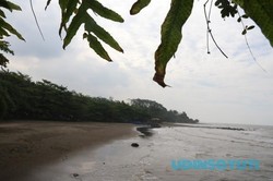Pantai Ujung Negoro nan Cantik di Batang