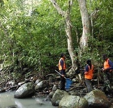 Serunya Jelajahi Madapangga, Hutan di NTB dengan Beragam Fauna