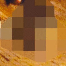 Video Mahasiswa Mesum di Tempat Umum Bikin Geger