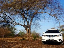 Nissan Tidak Anti dengan Hybrid