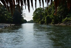 Jelajah Hutan Taman Nasional Gunung Leuser? Siapa takut