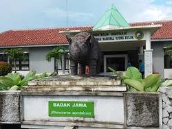 Cari Info Badak Jawa, ke Balai Taman Nasional Ujung Kulon Saja!