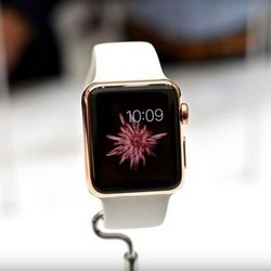 Demi Apple Watch, Bunga Ini Difoto 24 Ribu kali