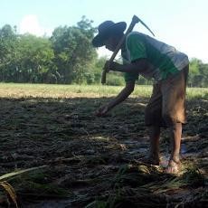 Kerugian Banjir Bandang di Pasuruan Capai Rp 16 Miliar