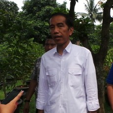 Jokowi Soal Penangkapan Politisi PDIP: Saya Urusi Turis Aja
