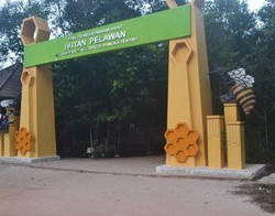 Hutan Pelawan, Bagai Oase Hijau di Pulau Bangka