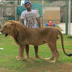 Hobi Pelihara & Main dengan Singa, Pria Ini Ngetop di Instagram