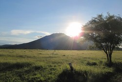 Baluran: Savana Afrika & Pantai Perawan